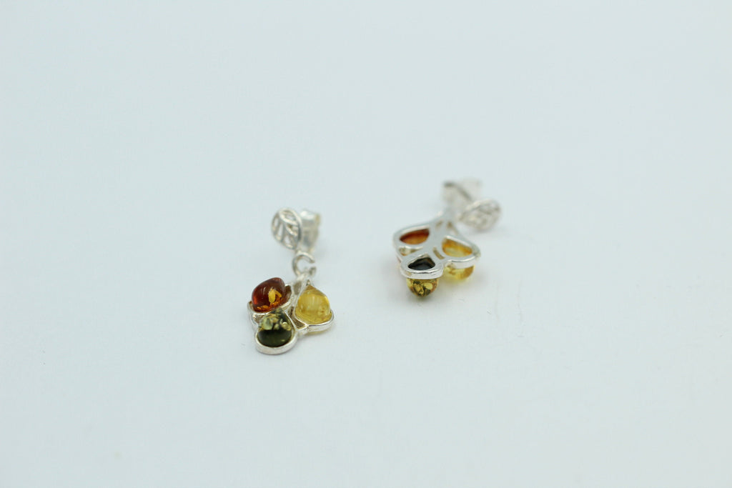 Edler Bernstein Ohrschmuck 925 Silber Ohrhänger Bernstein aus Litauen Top Edel