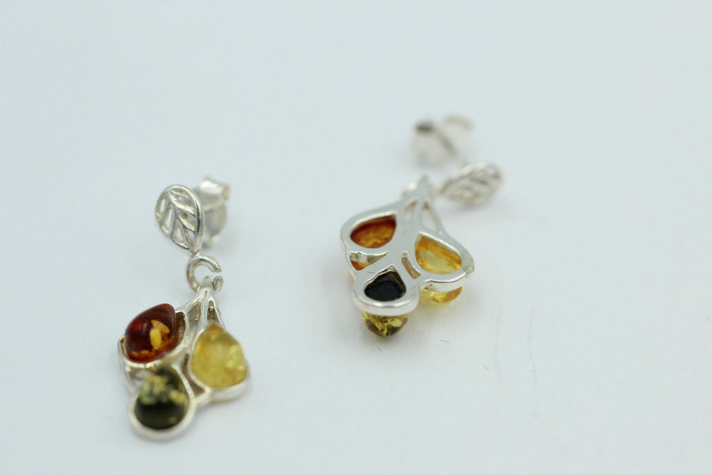 Edler Bernstein Ohrschmuck 925 Silber Ohrhänger Bernstein aus Litauen Top Edel