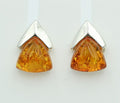 Edler Bernstein Ohrstecker Unisex 925 Silber Ohrschmuck Bernsten aus Litauen