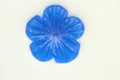 Blauachat Blüte graviert Durchmesser ca 16 mm echter Achat