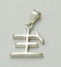 Anhänger chinesisches Schriftzeichen 925 Sterling Silber