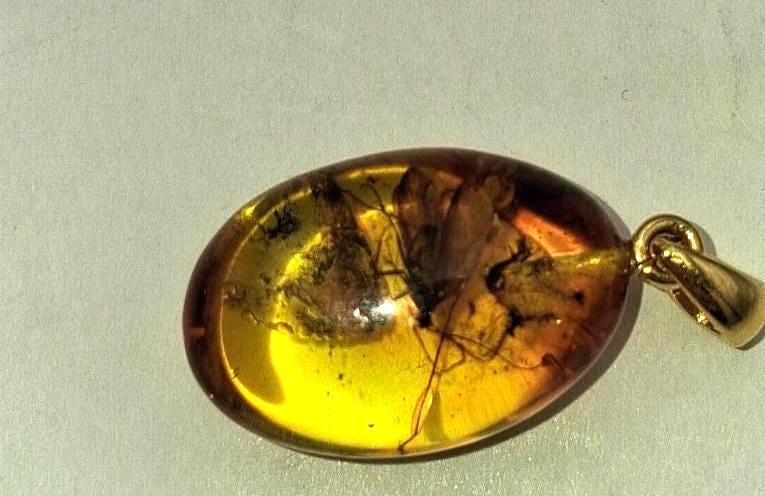 Bernsteinanhänger mit urzeitlichem Insekteneinschluss Exklusiv und sehr selten Fliege oder anderes Insekt Millionen Alt
