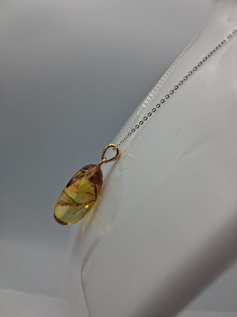 Bernsteinanhänger mit urzeitlichem Insekteneinschluss Exklusiv und sehr selten Fliege oder anderes Insekt Millionen Alt