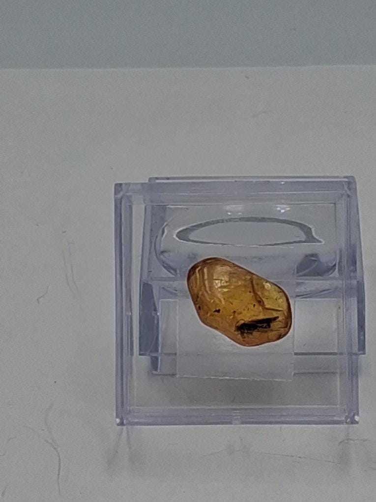 BERNSTEIN FOSSIL mit gut sichtbarer INKLUSE (ca. 4 mm Insekt)  Sammler-Würfel