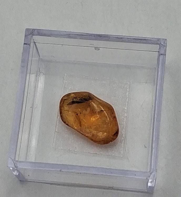 BERNSTEIN FOSSIL mit gut sichtbarer INKLUSE (ca. 4 mm Insekt)  Sammler-Würfel