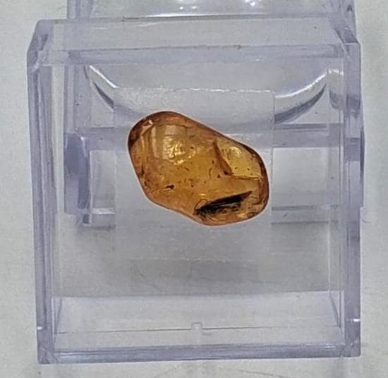 BERNSTEIN FOSSIL mit gut sichtbarer INKLUSE (ca. 4 mm Insekt)  Sammler-Würfel