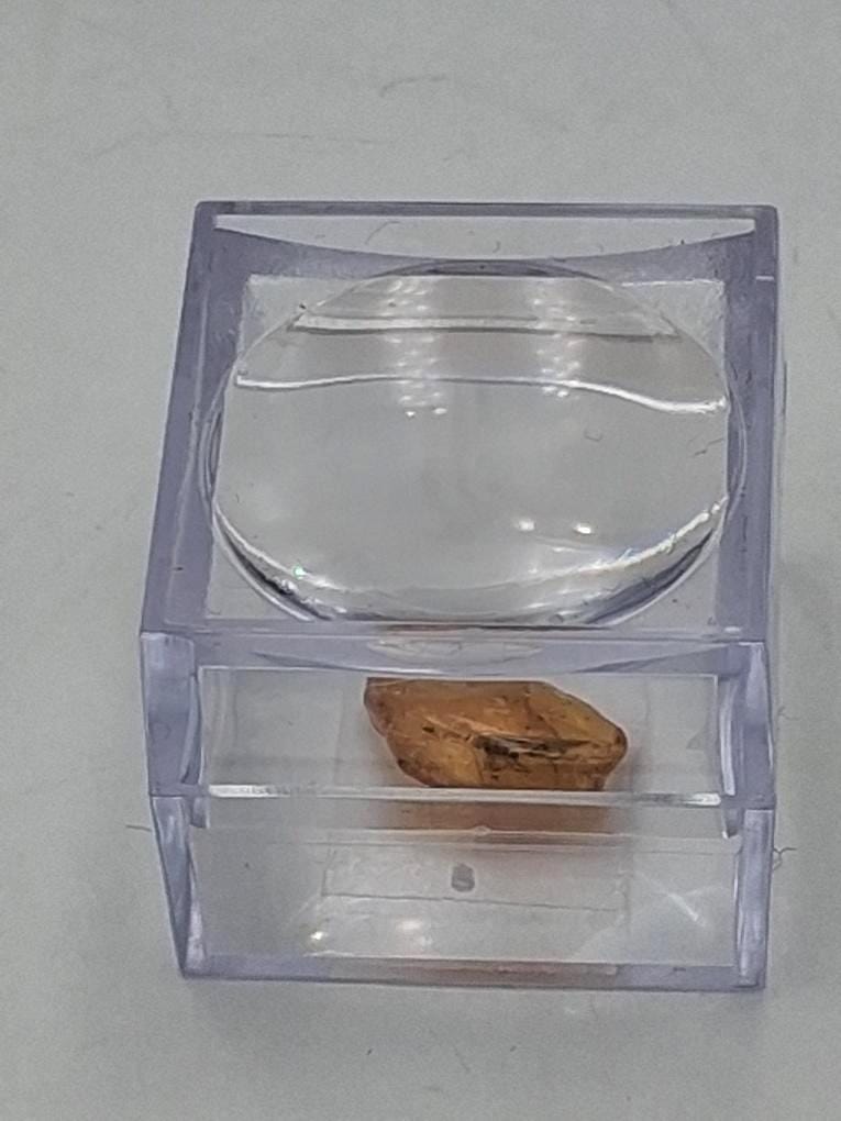 BERNSTEIN FOSSIL mit gut sichtbarer INKLUSE (ca. 4 mm Insekt)  Sammler-Würfel