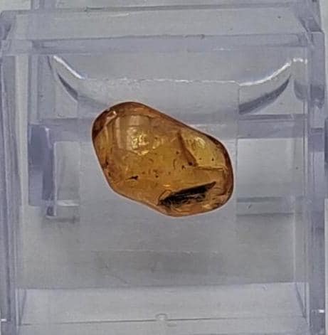 BERNSTEIN FOSSIL mit gut sichtbarer INKLUSE (ca. 4 mm Insekt)  Sammler-Würfel