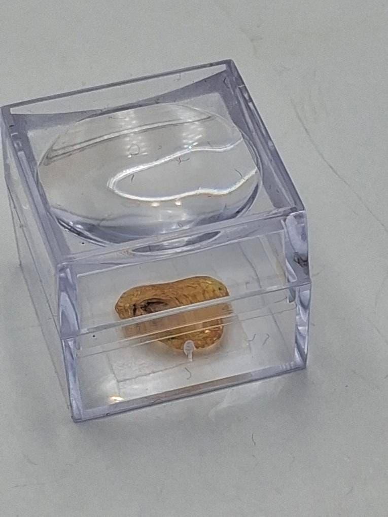 Echter Natur-Bernstein mit markanter Fliegen-Inkluse 5x2,2 mm | In Vitrine
