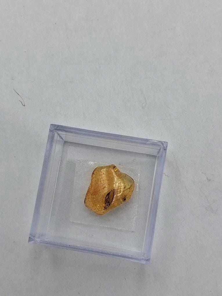 Echter Natur-Bernstein mit markanter Fliegen-Inkluse 5x2,2 mm | In Vitrine