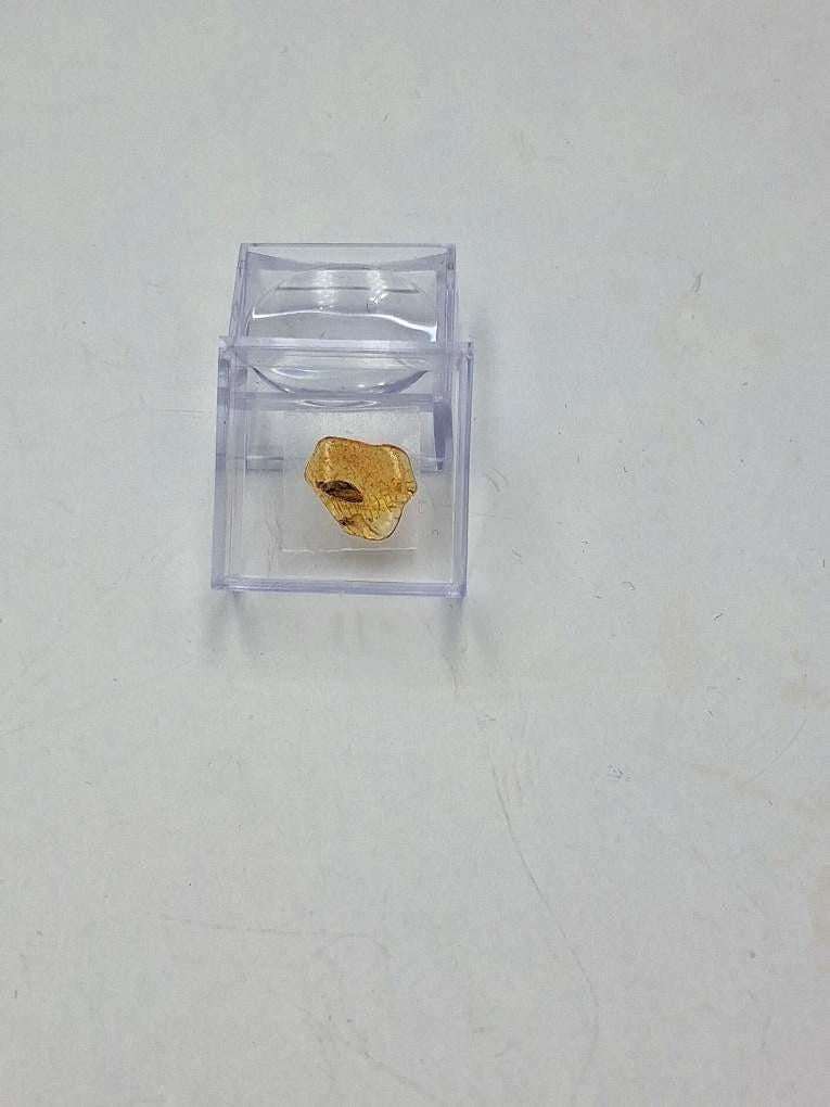 Echter Natur-Bernstein mit markanter Fliegen-Inkluse 5x2,2 mm | In Vitrine